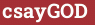 Brick with text csayGOD