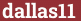 Brick with text dallas11
