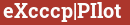 Brick with text eXcccp|PIlot