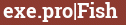 Brick with text exe.pro|Fish