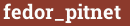 Brick with text fedor_pitnet