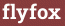 Brick with text flyfox