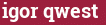 Brick with text igor qwest