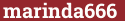 Brick with text marinda666