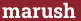 Brick with text marush