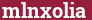 Кирпич с текстом mlnxolia