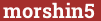 Brick with text morshin5