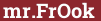 Кирпич с текстом mr.FrOok