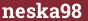 Brick with text neska98