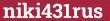 Brick with text niki431rus