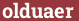 Кирпич с текстом olduaer