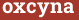 Кирпич с текстом oxcyna