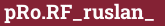 Brick with text pRo.RF_ruslan_