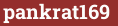 Brick with text pankrat169