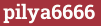 Brick with text pilya6666