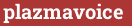 Brick with text plazmavoice