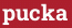 Brick with text pucka