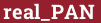 Brick with text real_PAN