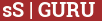 Brick with text sS | GURU