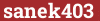 Brick with text sanek403