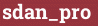 Brick with text sdan_pro