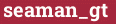 Brick with text seaman_gt