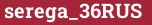Brick with text serega_36RUS