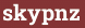 Brick with text skypnz