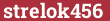 Brick with text strelok456