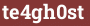 Кирпич с текстом te4gh0st