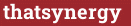 Кирпич с текстом thatsynergy