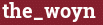 Brick with text the_woyn