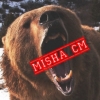 Аватарка Misha_cm
