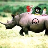 Аватарка носорог такси