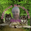 Аватарка Sibylla-runa