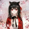 Avatar Akio_Vatanabe