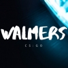 Аватарка Walmers