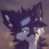 Avatar Korin Fellori