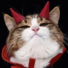 Avatar: Uinsux