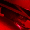 Avatar xSt4tic_s0ulx