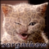Аватарка Sergnikow