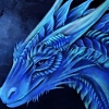 Avatar dragonshik