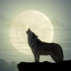 Аватарка Wolf-mam