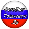 Аватарка TORGACHKIN