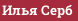 Илья Серб