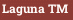 Laguna ™