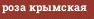роза крымская