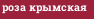 IRENE_GLOTOVA