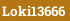 Loki13666