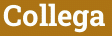Collega